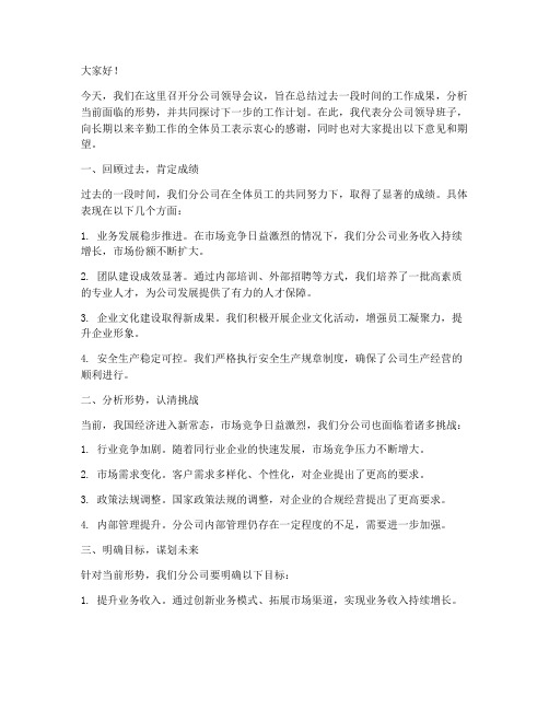 分公司领导会议发言稿范文