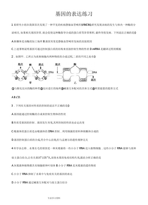 基因的表达专题练习题