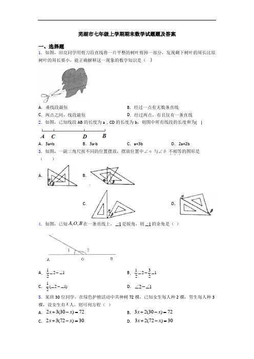 芜湖市七年级上学期期末数学试题题及答案