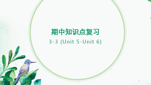 期中知识点复习(Unit 5-Unit 6) 课件人教版英语八年级上册