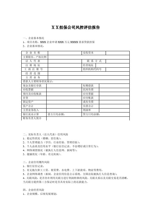 担保公司风控评估报告