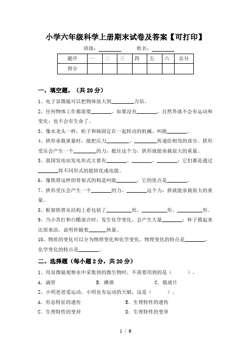 小学六年级科学上册期末试卷及答案【可打印】