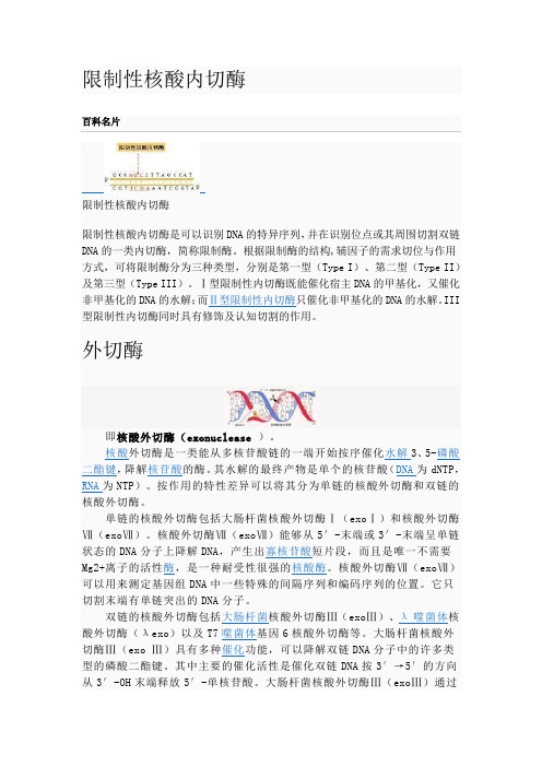 限制性核酸内切酶与核酸内切酶、外切酶