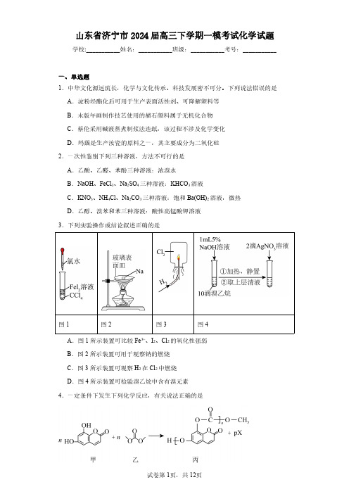 山东省济宁市2024届高三下学期一模考试化学-试题含解析