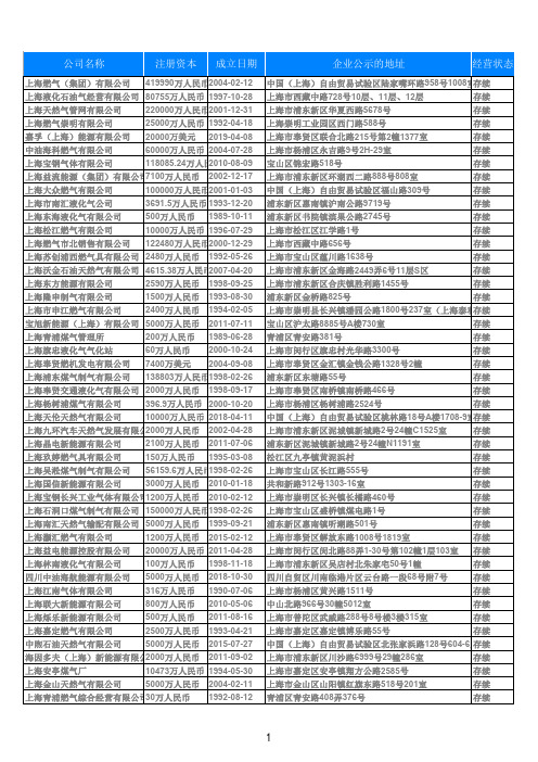 2019年度上海市燃气生产和供应公司266家