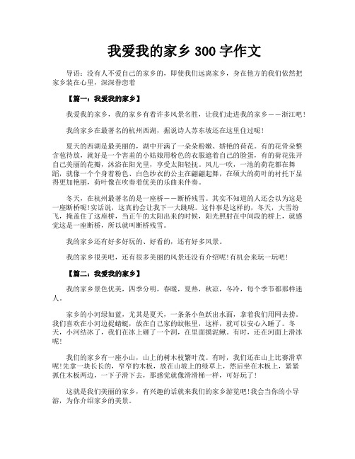 我爱我的家乡300字作文