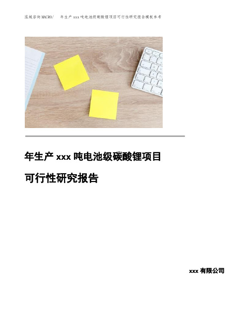 年生产xxx吨电池级碳酸锂项目可行性研究报告模板参考