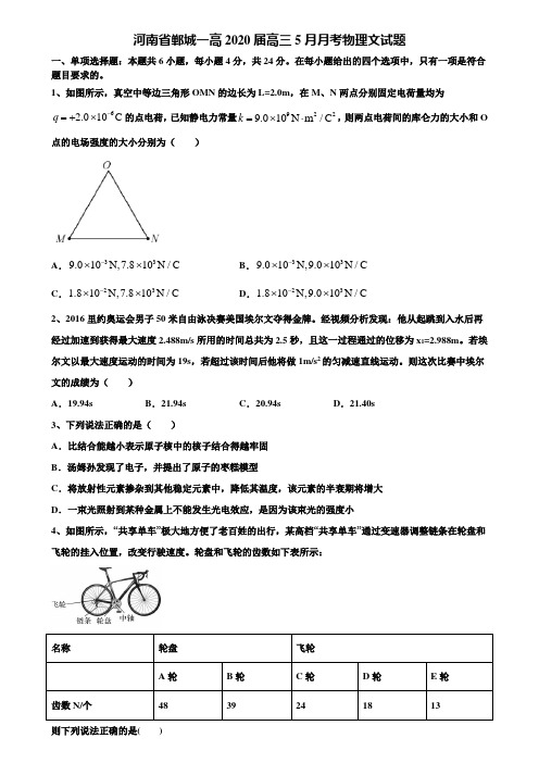 河南省郸城一高2020届高三5月月考物理文试题含解析【附15套高考模拟卷】