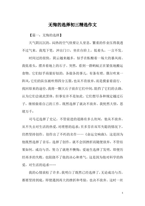 无悔的选择初三精选作文