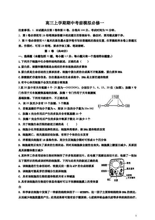 高三上学期期中考前必修一模拟生物试卷(带答案)