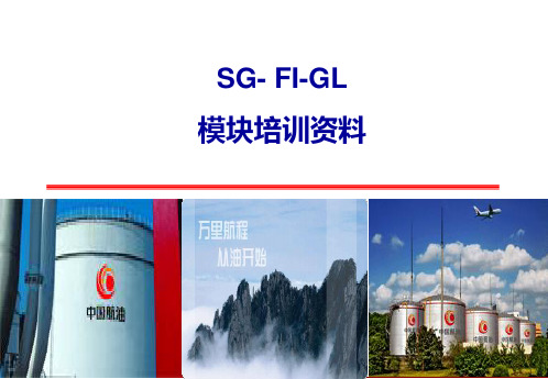 中航油SAP实施项目_培训资料_SG-FI  GL00