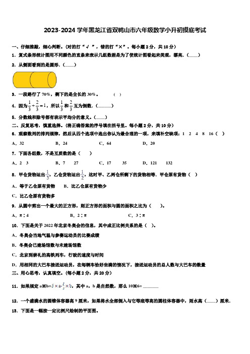 2023-2024学年黑龙江省双鸭山市六年级数学小升初摸底考试含解析