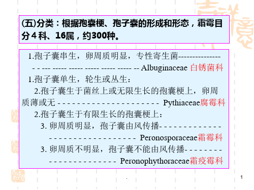 鞭毛菌亚门之二ajPPT课件