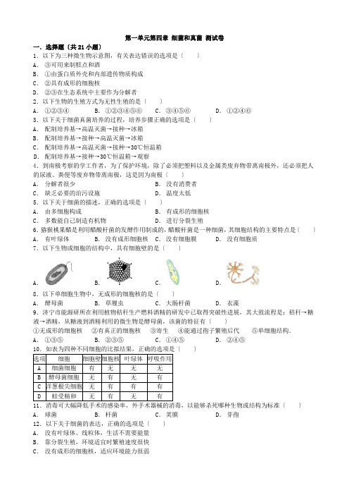 (新)人教版生物八上第五单元第四章 细菌和真菌同步练习附答案