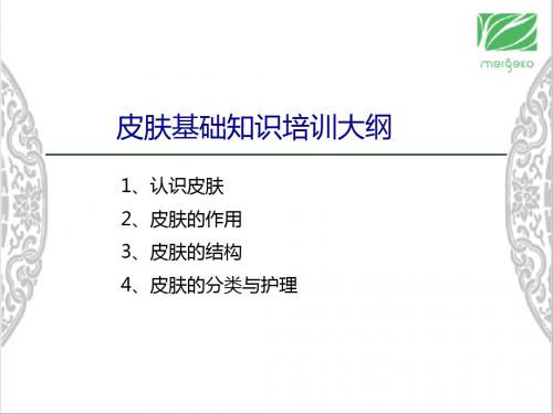 皮肤基础知识讲解-29页文档资料