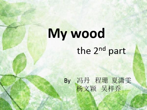 My wood 第二段 演示文稿终极版