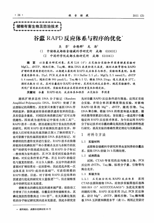 谷蠹RAPD反应体系与程序的优化