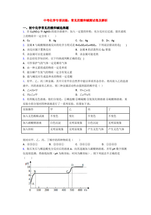 中考化学专项训练：常见的酸和碱测试卷及解析