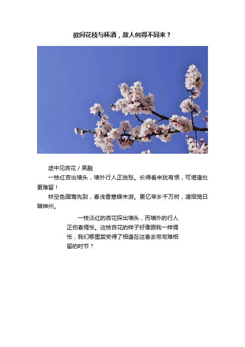 欲问花枝与杯酒，故人何得不同来？