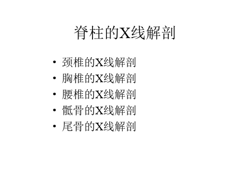 【影像诊断课件】脊柱的X线解剖