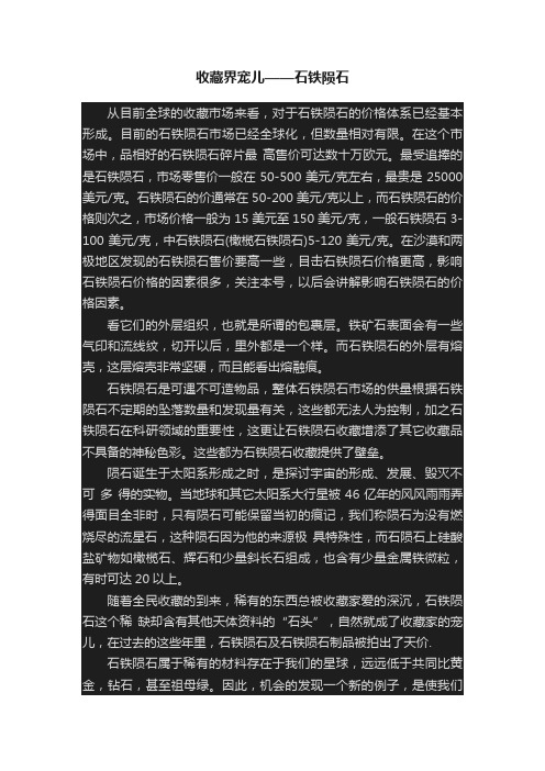 收藏界宠儿——石铁陨石