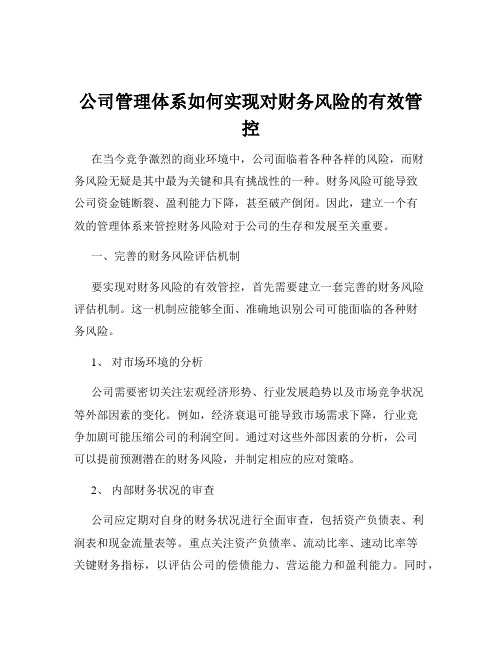 公司管理体系如何实现对财务风险的有效管控