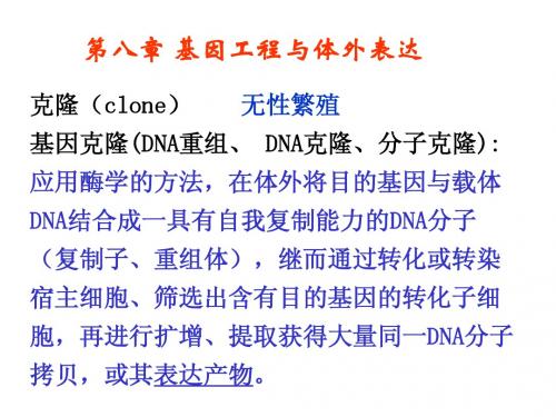 第八章 基因工程与体外表达