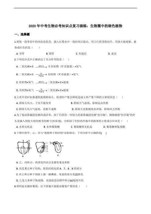 2020年中考生物必考知识点复习演练：生物圈中的绿色植物(含答案)