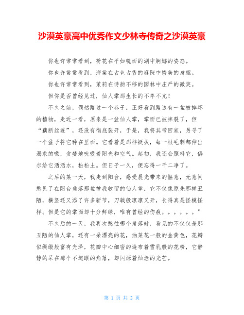 沙漠英豪高中优秀作文少林寺传奇之沙漠英豪