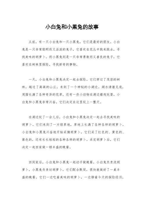 小白兔和小黑兔的故事