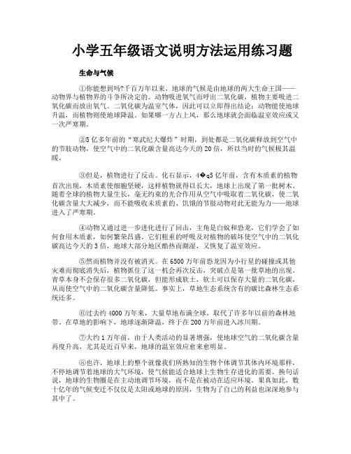 小学五年级语文说明方法运用练习题