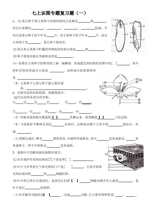 七年级上册生物识图专题复习导学案