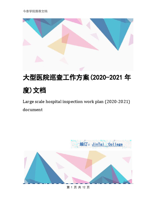 大型医院巡查工作方案(2020-2021年度)文档