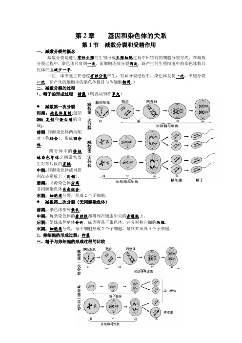 高一生物第二章知识点总结 