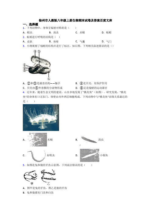 徐州市人教版八年级上册生物期末试卷及答案百度文库