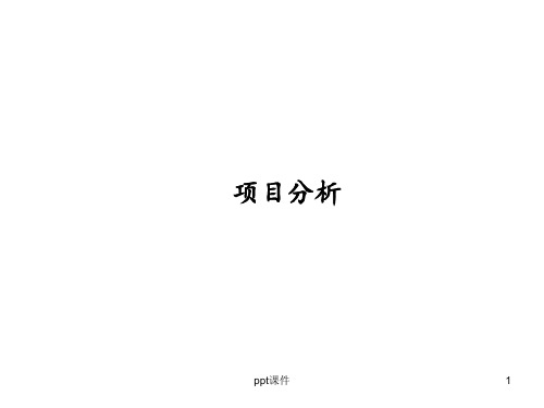 项目分析  ppt课件