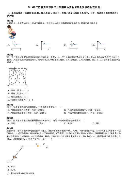 2024年江苏省启东市高三上学期期中素质调研全真演练物理试题