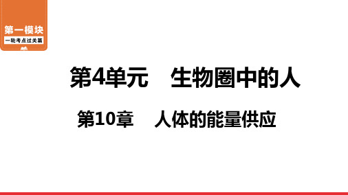 2020-2021年中考生物北师大版复习 第10章 人体的能量供应