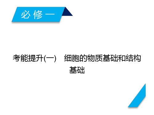 2019年高考生物人教版一轮复习课件：考能提升1