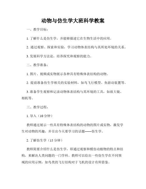 动物与仿生学大班科学教案