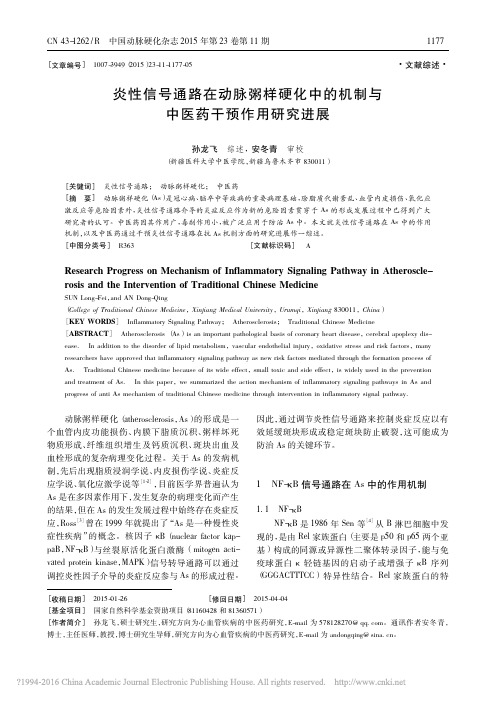 炎性信号通路在动脉粥样硬化中的机制与中医药干预作用研究进展_孙龙飞