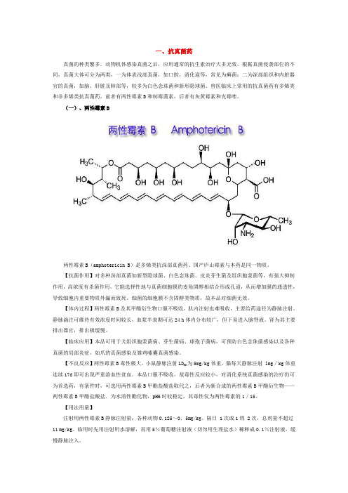 抗真菌药——制霉菌素、两性霉素B