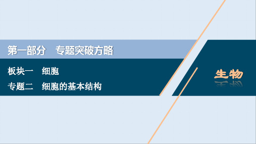 2020新课标高考生物二轮课件：专题二 细胞的基本结构 