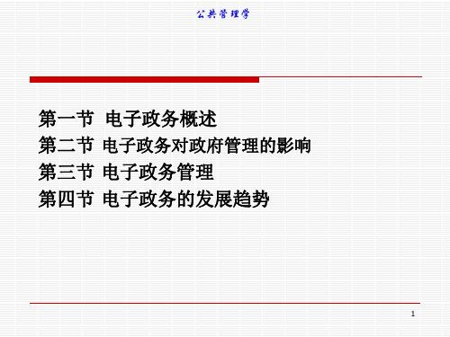 第十三章电子政务与电子政府