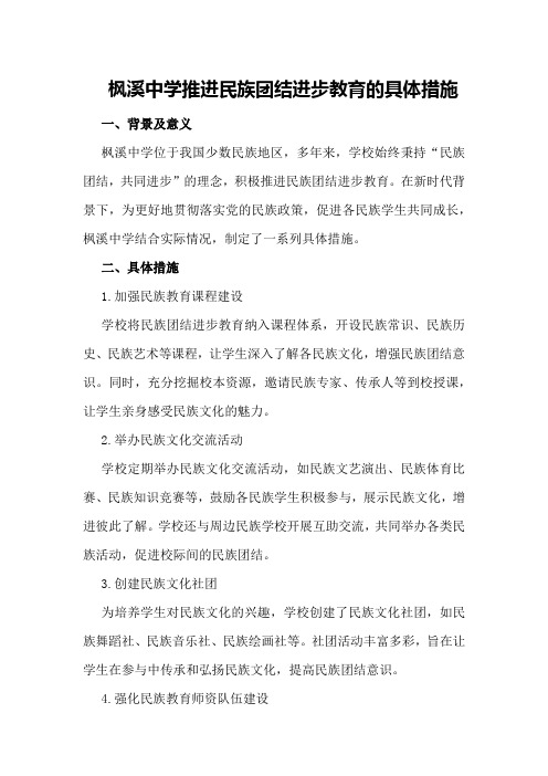 枫溪中学推进民族团结进步教育的具体措施