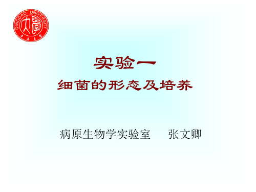 细菌的形态及培养.ppt