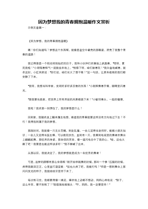 因为梦想我的青春拥抱温暖作文赏析