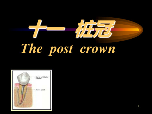 桩冠07ppt课件