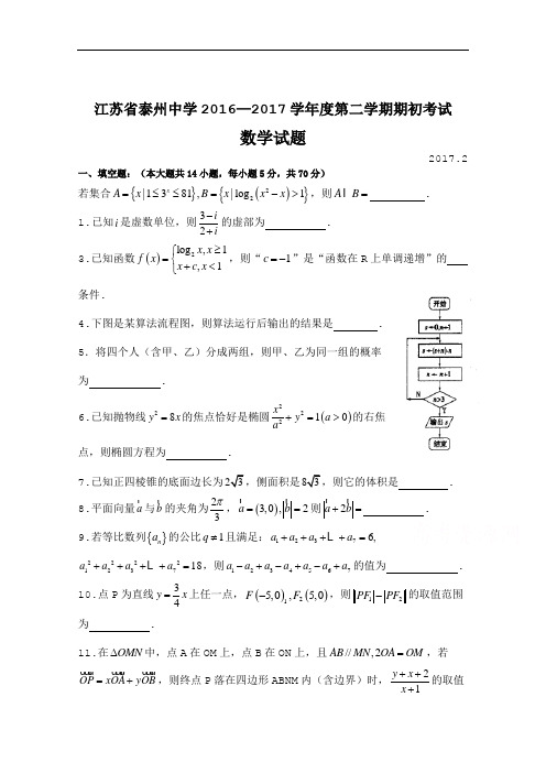 江苏省泰州中学2017届高三下学期期初考试数学试题 Word版含答案