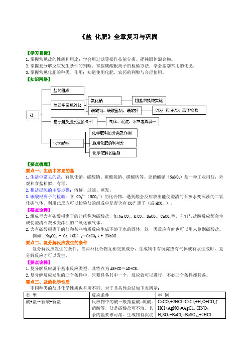 九年级下化学 《盐 化肥》全章(提纲、例题、练习、解析)